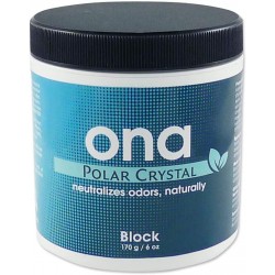 Ambientador Ona Block Polar Crystal 170G