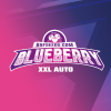 Blueberry XXL Auto 7 Semillas Bsf Seeds - BSF Seeds