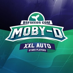 Moby-D Xxl Auto 2 Semillas Bsf Seeds