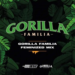 Mix Gorilla Familia 12 Semillas Bsf Seeds