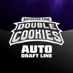 Double Cookies Auto 2 Semillas BSF Seeds